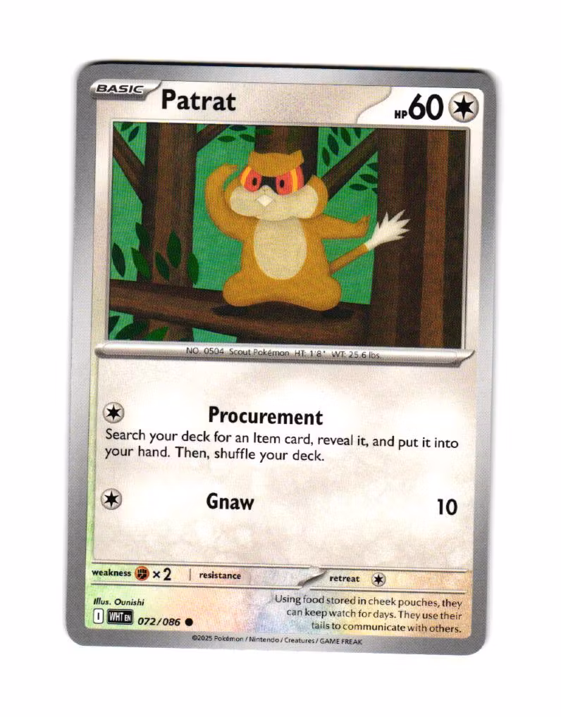 Patrat Common 072/086 White Flare Pokemon