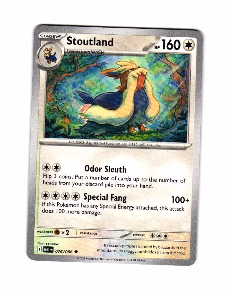 Stoutland Uncommon 076/086 White Flare Pokemon