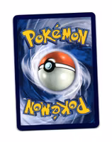 Charcadet Reverse Holo Common 019/094 Phantasmal Flames Pokemon