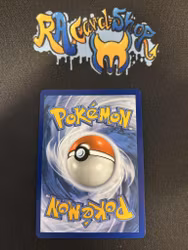 Reshiram V 172/195 Silver Tempest Pokemon