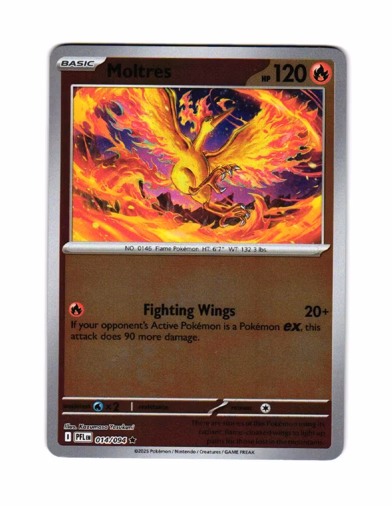 Moltres Reverse Holo Rare 014/094 Phantasmal Flames Pokemon