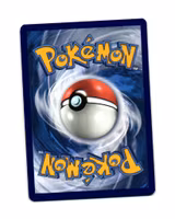 Wailord Holo Rare 032/185 Vivid Voltage Pokemon