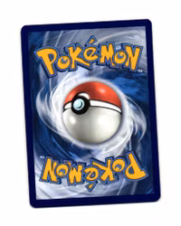 Wailord Holo Rare 032/185 Vivid Voltage Pokemon