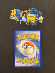 Mega Sharpedo ex Ultra Rare 113/094 Phantasmal Flames Pokemon