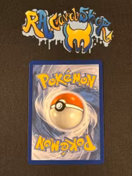 Mega Kangaskhan ex Double Rare 104/132 Mega Evolution Pokemon