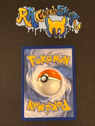 Mega Camerupt ex Double Rare 022/132 Mega Evolution Pokemon