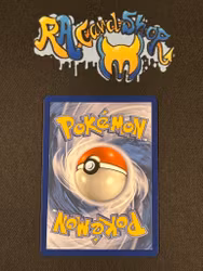 Mega Manectric ex Double Rare 050/132 Mega Evolution Pokemon