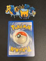 Linoone Uncommon 44/100 EX Sandstorm Pokemon