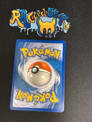 Hippowdon Reverse Holo Uncommon 42/111 Rising Rivals Pokemon