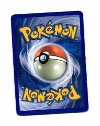 Bagon Reverse Holo Common 43/101 EX Dragon Frontiers Pokemon