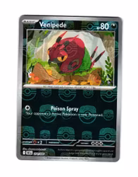 Venipede Reverse Holo MasterBall Common 054/086 Black Bolt Pokemon