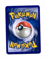 Wallys Training Uncommon 85/106 EX Emerald Pokemon