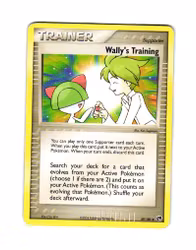 Wallys Training Uncommon 89/100 EX Sandstorm Pokemon