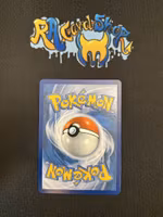 Mega Charizard ex Double Rare 022/217 Ascended Heroes Pokemon