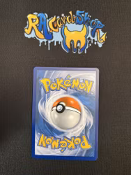 Ns Zoroark Special Illustration Rare 286/217 Ascended Heroes Pokemon