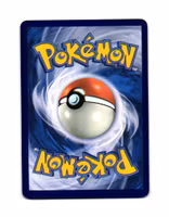 Poochyena Dusk Ball Reverse Holo Common 128/217 Ascended Heroes Pokemon