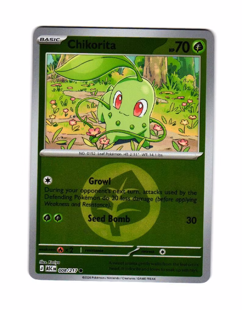 Chikorita Reverse Holo Common 008/217 Ascended Heroes Pokemon
