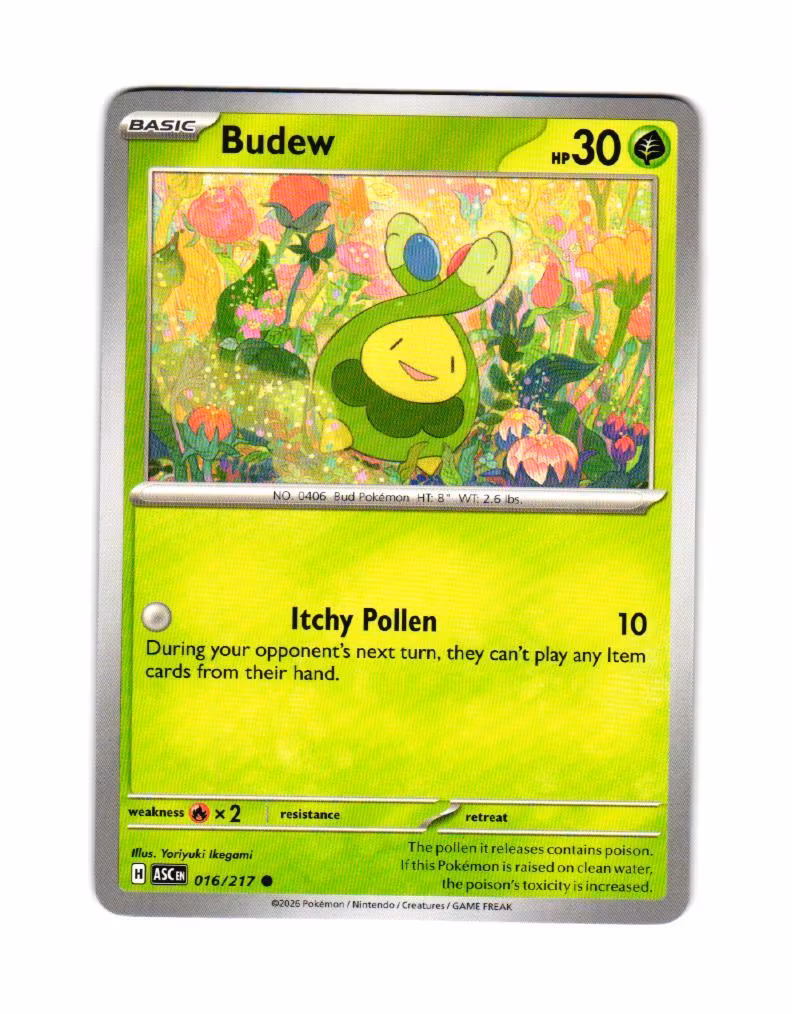 Budew Common 016/217 Ascended Heroes Pokemon