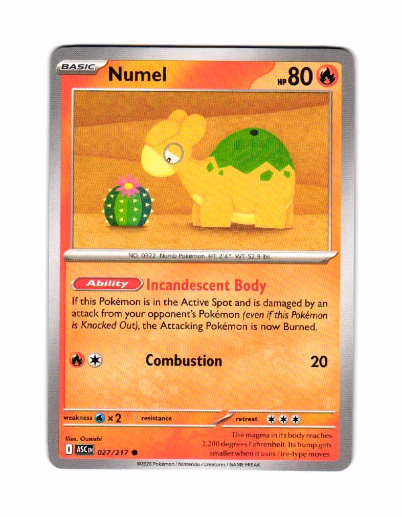 Numel Common 027/217 Ascended Heroes Pokemon