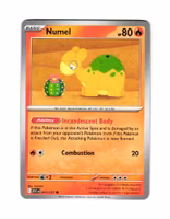 Numel Common 027/217 Ascended Heroes Pokemon