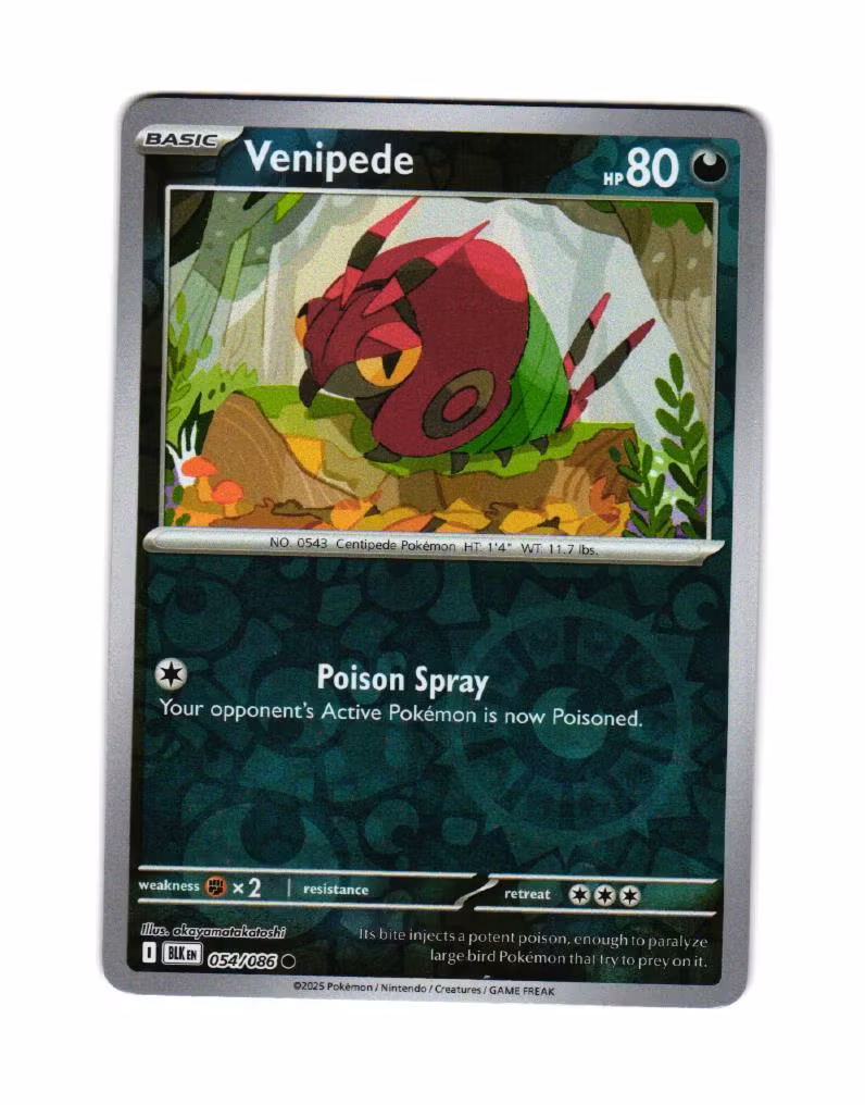 Venipede Reverse Holo Common 054/086 Black Bolt Pokemon