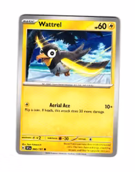 Wattrel Common 066/191 Surging Sparks Pokemon