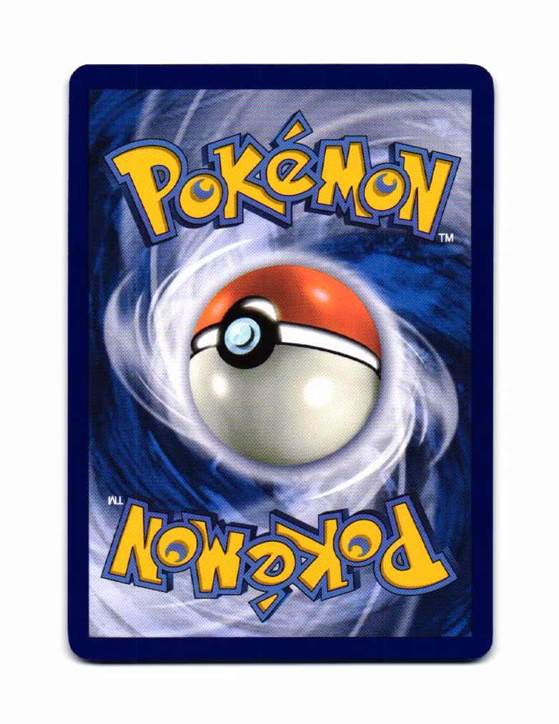 Hippopotas Reverse Holo Common 039/088 Perfect Order Pokemon