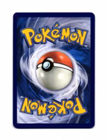 Hippopotas Reverse Holo Common 039/088 Perfect Order Pokemon