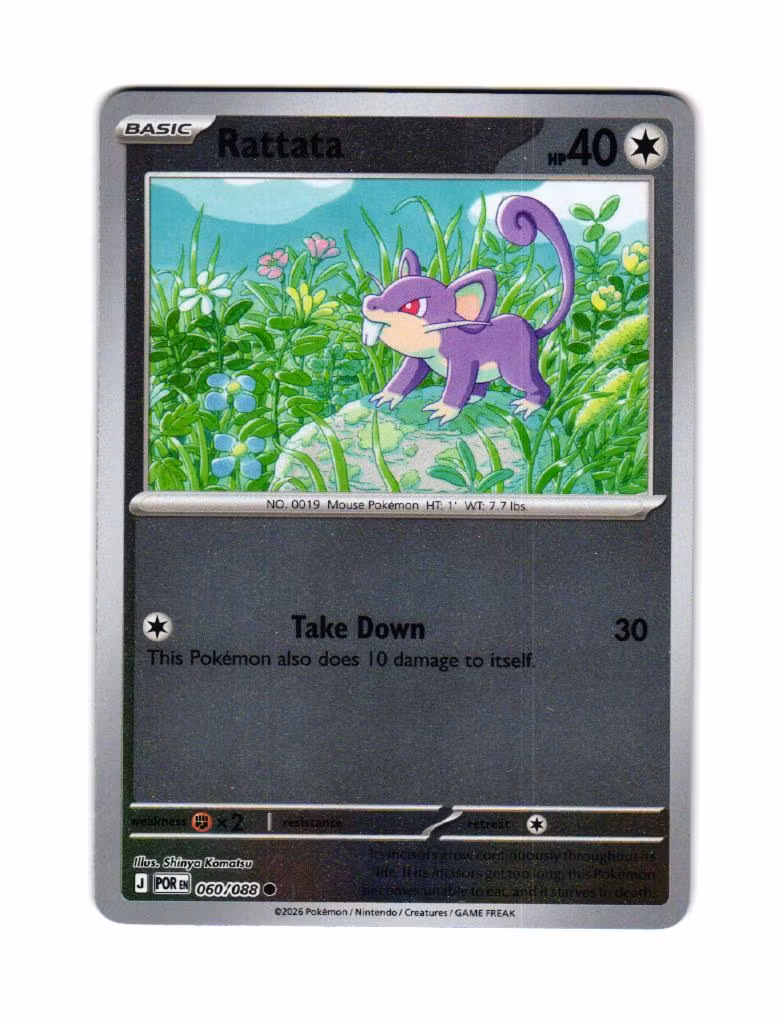 Rattata Reverse Holo Common 060/088 Perfect Order Pokemon