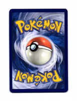 Rattata Reverse Holo Common 060/088 Perfect Order Pokemon