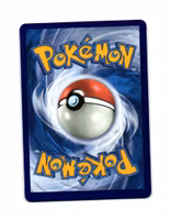 Lucario V SWSH214 Black Star Promo Pokemon