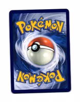 Premium Power Pro Reverse Holo Uncommon 199/217 Ascended Heroes Pokemon