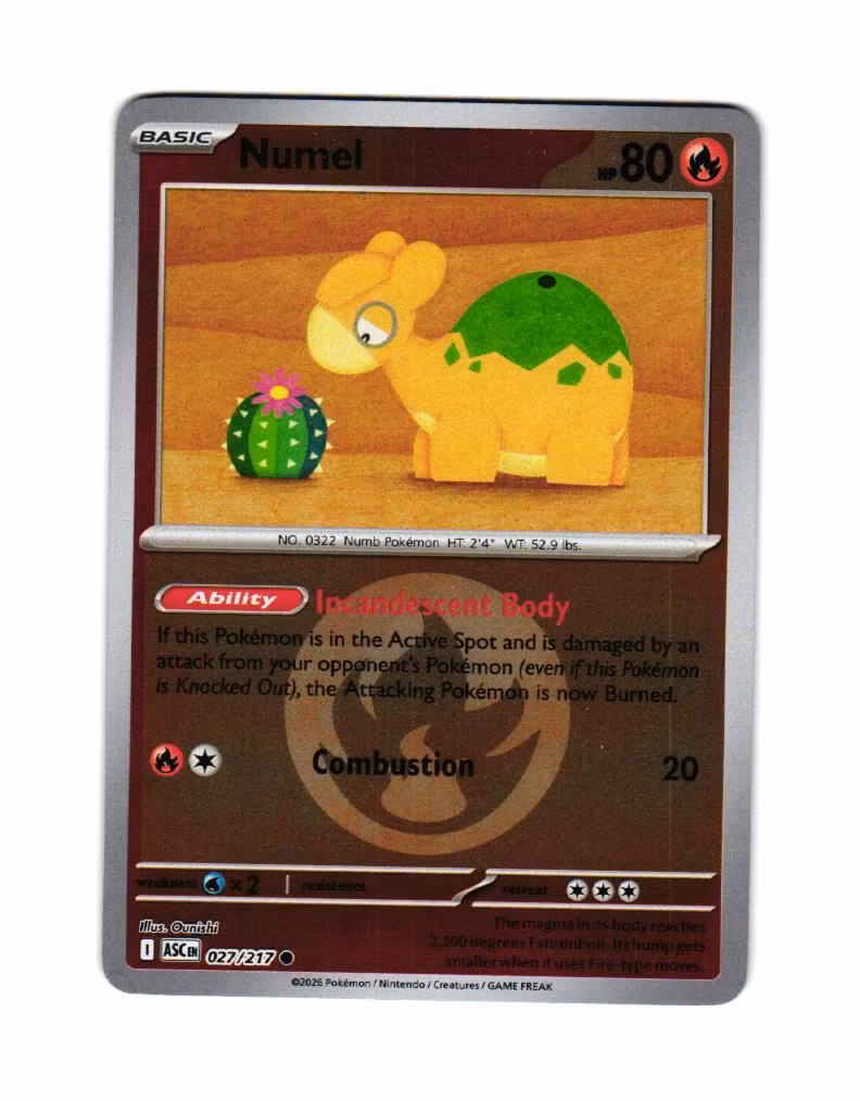 Numel Reverse Holo Common 027/217 Ascended Heroes Pokemon