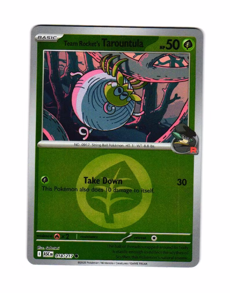 Team Rockets Tarountula Reverse Holo Common 018/217 Ascended Heroes Pokemon