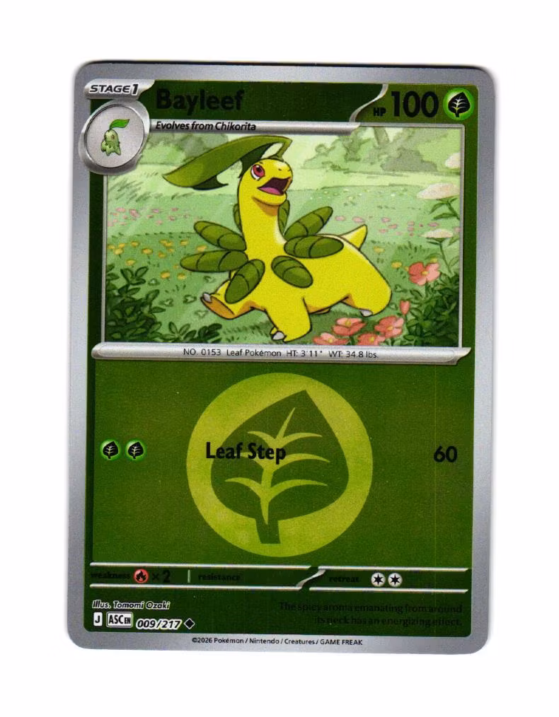 Bayleef Reverse Holo Uncommon 009/217 Ascended Heroes Pokemon