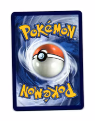 Quilladin Reverse Holo Common 006/086 Chaos Rising Pokemon