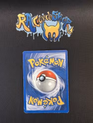 Raikou Holo Rare 13/64 Neo Revelation Pokemon