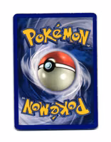 Raticate Reverse Holo Common 89/144 Skyridge Pokemon