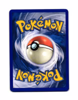 Ursaring Common 110/144 Skyridge Pokemon