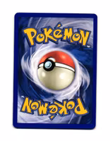 Dewgong Rare 7/144 Skyridge Pokemon