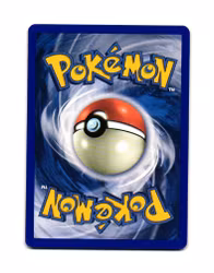 Raikou Rare 28/144 Skyridge Pokemon