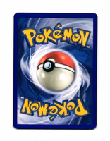 Diglett Common 50/144 Skyridge Pokemon