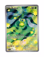 Budew Illustration Rare 221/217 Ascended Heroes Pokemon