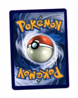 Poke Ball SWSH146 Gold Card (Sealed) Black Star Promo Pokemon