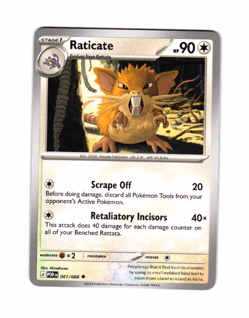 Raticate Uncommon 061/088 Perfect Order Pokemon