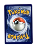 Hippopotas Common 039/088 Perfect Order Pokemon