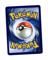 Centiskorch Reverse Holo Common 010/084 Pitch Black Pokemon
