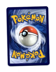 Mabosstiff Reverse Holo Common 049/084 Pitch Black Pokemon