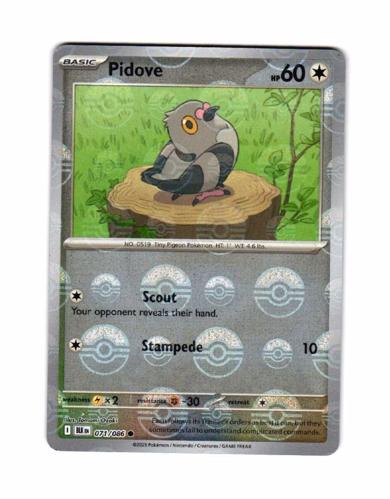 Pidove Reverse Holo Common Poke Ball 071/086 Black Bolt Pokemon