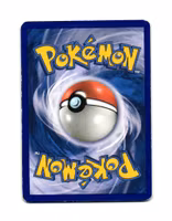 Krokorok Reverse Holo Uncommon 69/116 Plasma Freeze Pokemon